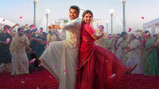 Vishwanath & Sons - Backdrops