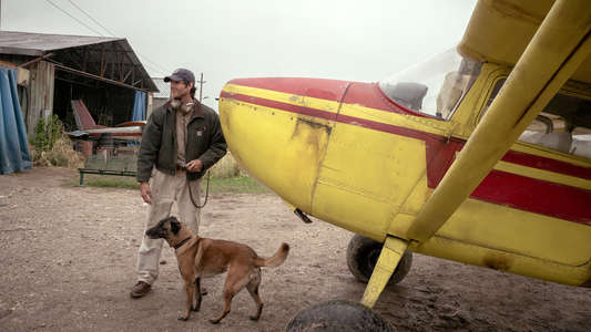 The Dog Stars - Backdrops