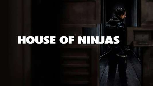 House of Ninjas - Backdrops
