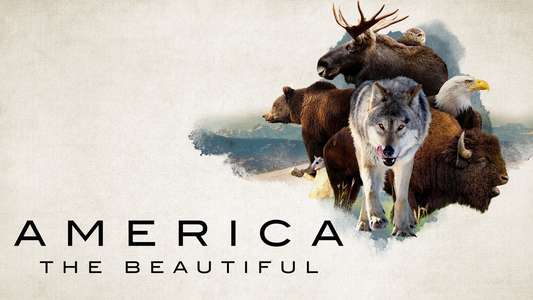 America The Beautiful - Backdrops