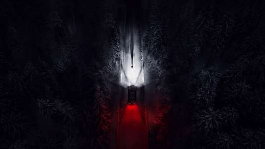 Resident Evil - Backdrops