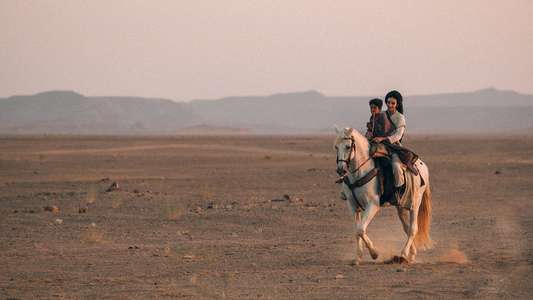 Desert Warrior - Backdrops