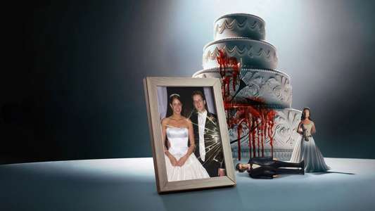Welcome to the Family: The Murder of Dan Markel - Backdrops