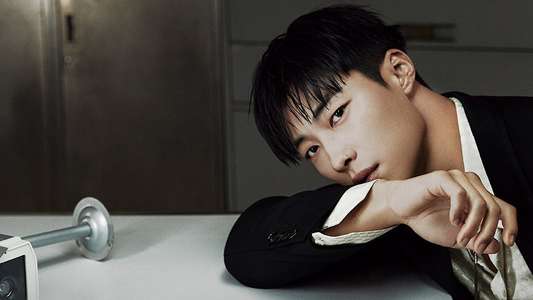 Made in Korea - Backdrops