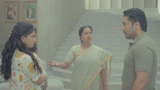 Vishwanath & Sons - Backdrops