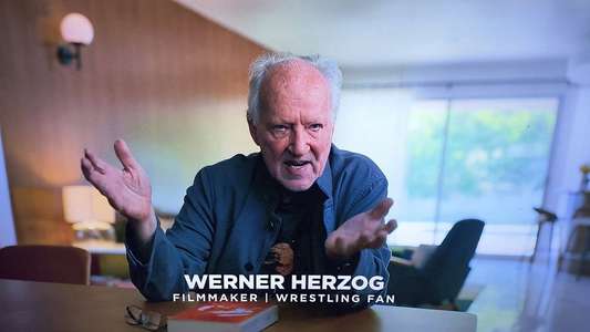 Hulk Hogan: Real American - Backdrops