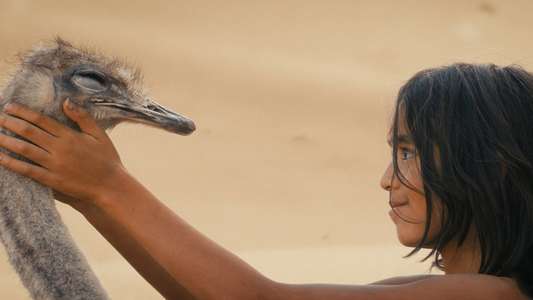 The Desert Child - Backdrops