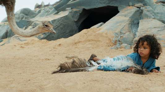 The Desert Child - Backdrops