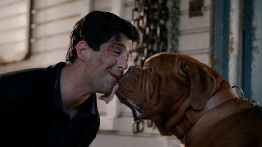 Turner and Hooch - Backdrops