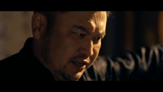 Ip Man: Kung Fu Legend - Backdrops