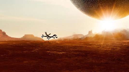 Coyote vs. Acme - Backdrops
