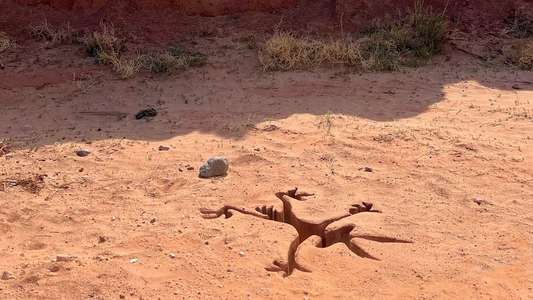 Coyote vs. Acme - Backdrops