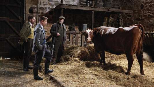 All Creatures Great & Small - Backdrops