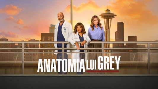 Grey's Anatomy - Backdrops
