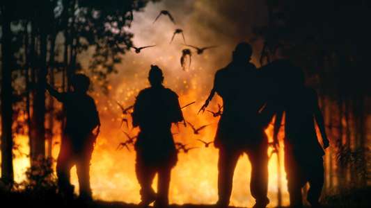 Bato: Road to Death - Backdrops