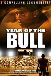 Year Of The Bull