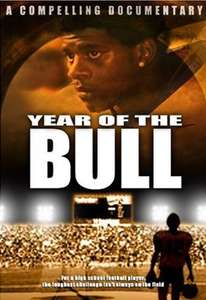 Year Of The Bull - Poster