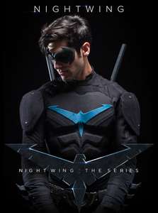 Nightwing: The Series - Poster