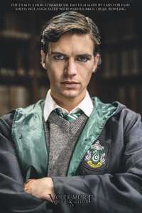 Voldemort: Origins of the Heir - Poster