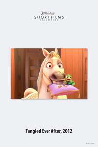Tangled Ever After - Poster