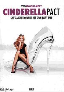 Lying to Be Perfect - Poster