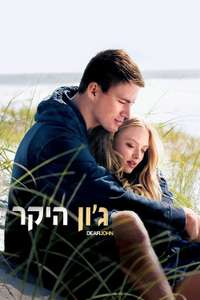 Dear John - Poster