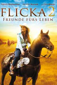 Flicka 2 - Posters