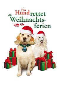 The Dog Who Saved Christmas Vacation - Poster