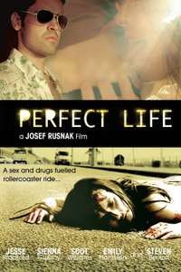 Perfect Life - Poster
