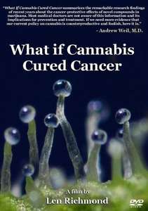 What If Cannabis Cured Cancer - Poster