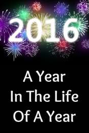 2016: A Year in the Life of a Year