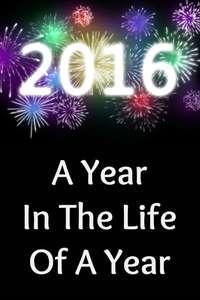 2016: A Year in the Life of a Year - Poster