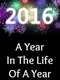 2016: A Year in the Life of a Year
