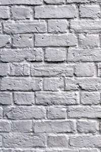 Paint Drying - Poster
