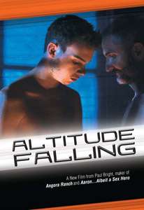 Altitude Falling - Poster