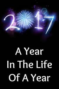 2017: A Year in the Life of a Year - Poster
