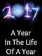 2017: A Year in the Life of a Year
