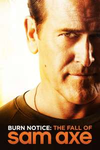 Burn Notice: The Fall of Sam Axe - Poster