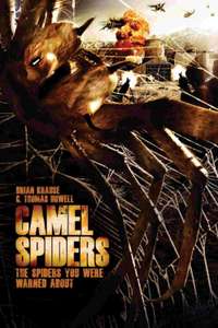 Camel Spiders - Poster