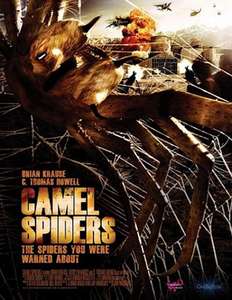 Camel Spiders - Poster