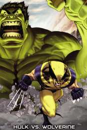 Hulk vs. Wolverine