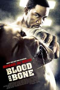 Blood and Bone - Poster