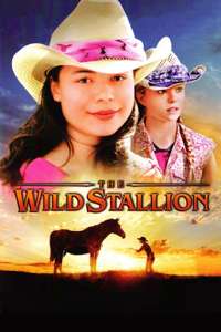 The Wild Stallion - Poster