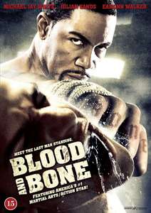 Blood and Bone - Poster