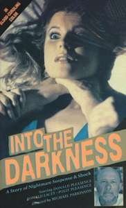 Into the Darkness - Poster