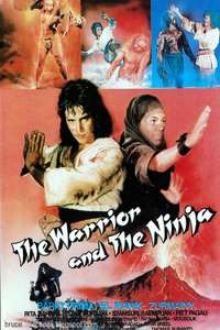 The Warrior and the Ninja - Poster
