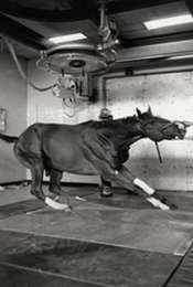 Racetrack