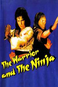 The Warrior and the Ninja - Poster