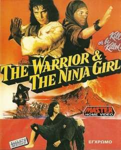 The Warrior and the Ninja - Poster