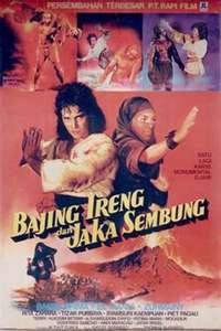 The Warrior and the Ninja - Poster
